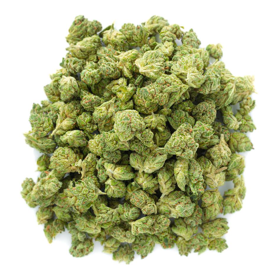 ZAZA - Elmer's Glue - Littles - 14 Grams - Hybrid