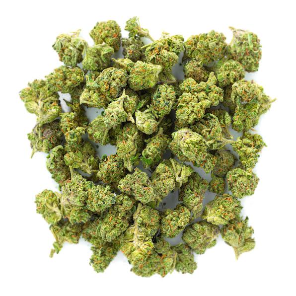 ZAZA - Gelato 33 - Littles - 14 Grams - Hybrid