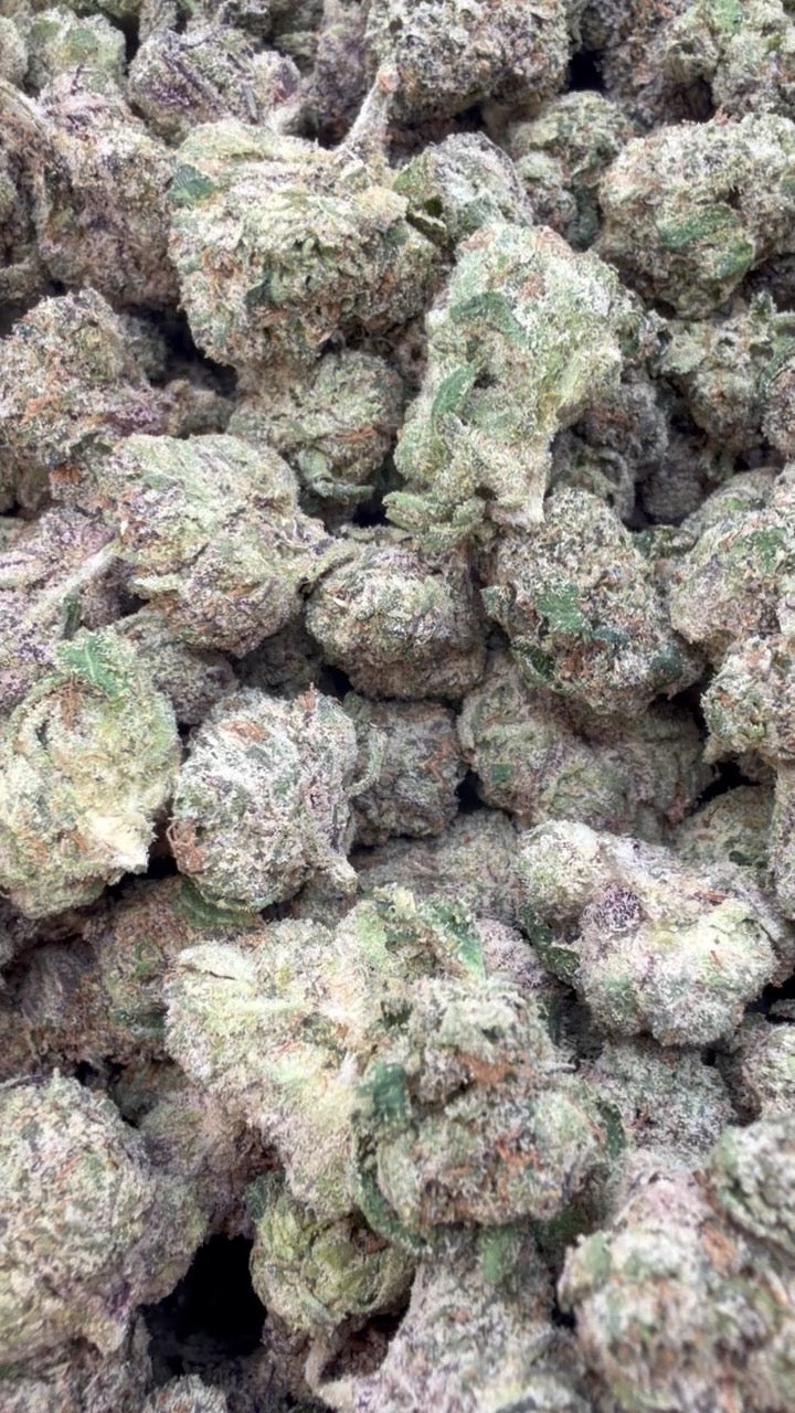 Elite Boutique Exotic Black Magic - Bulk - Indica