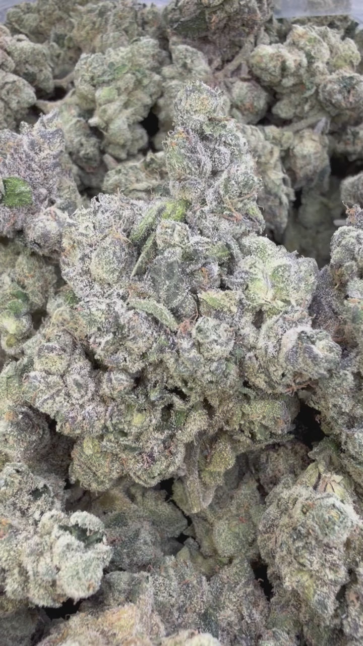 Elite Boutique Exotic Bolo Runtz - Bulk - Indica