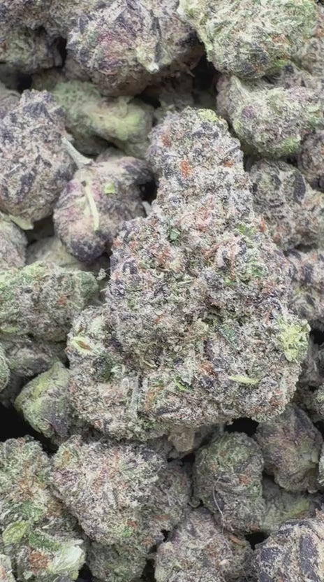 Purple Octane - Bulk- Indica