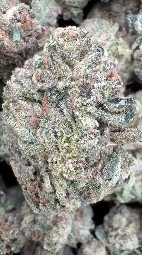 Banana Runtz - Bulk - Hybrid