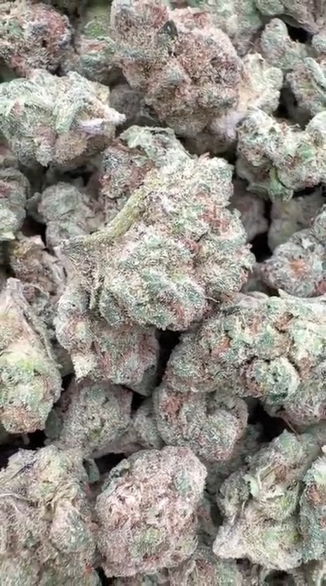 Blueberry Zkittlez Littles - Bulk Littles- Indica