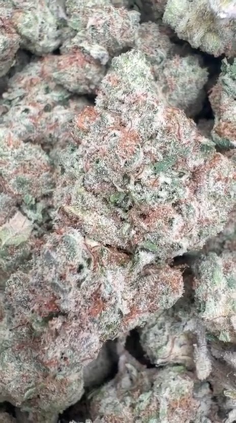 Blueberry Muffins - Bulk - Indica