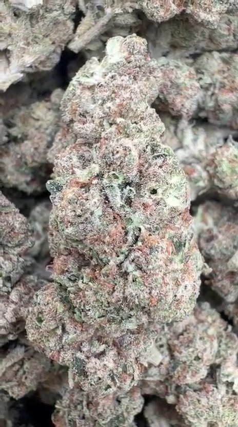Blueberry Zkittlez - Bulk - Indica