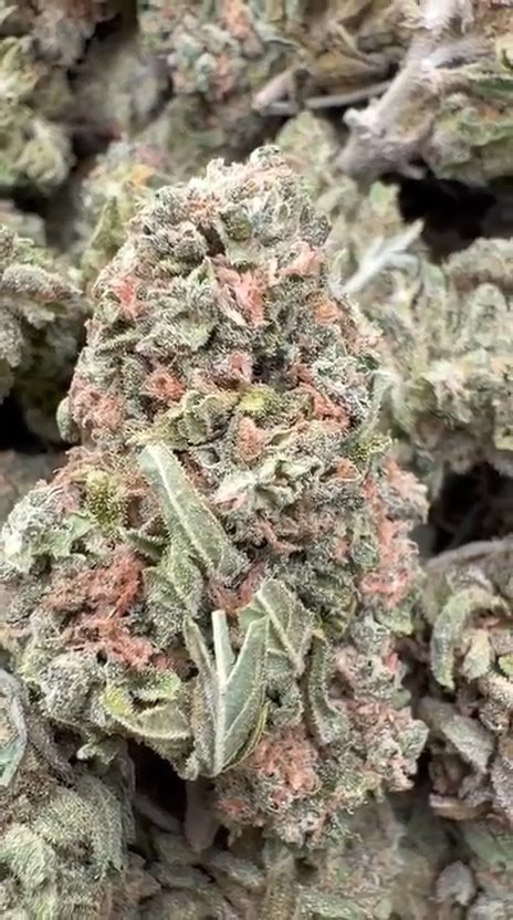 Bubba Kush - Bulk - Indica