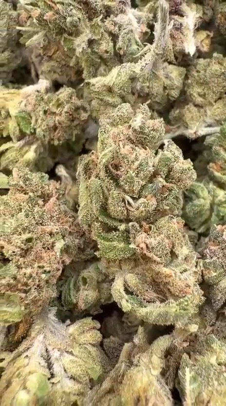 Burger Breath Littles - Bulk Littles - Indica