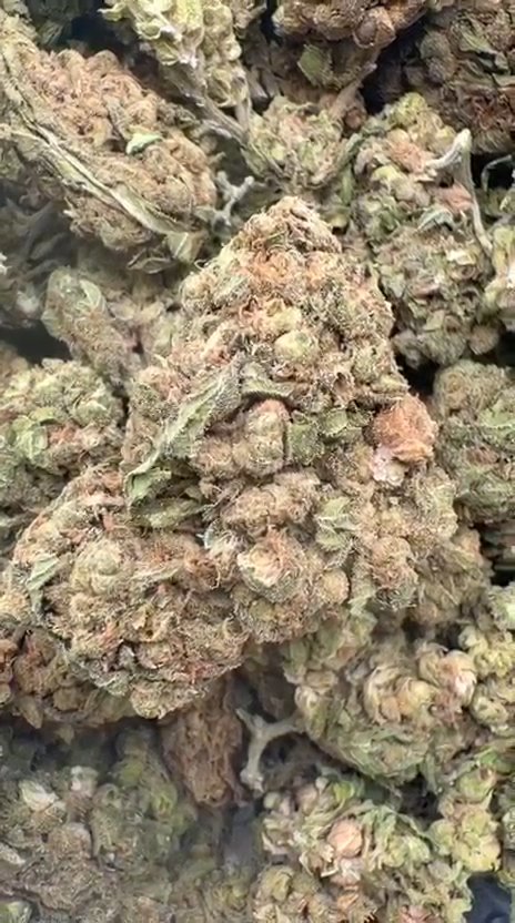 Butterscotch OG - Bulk - Indica