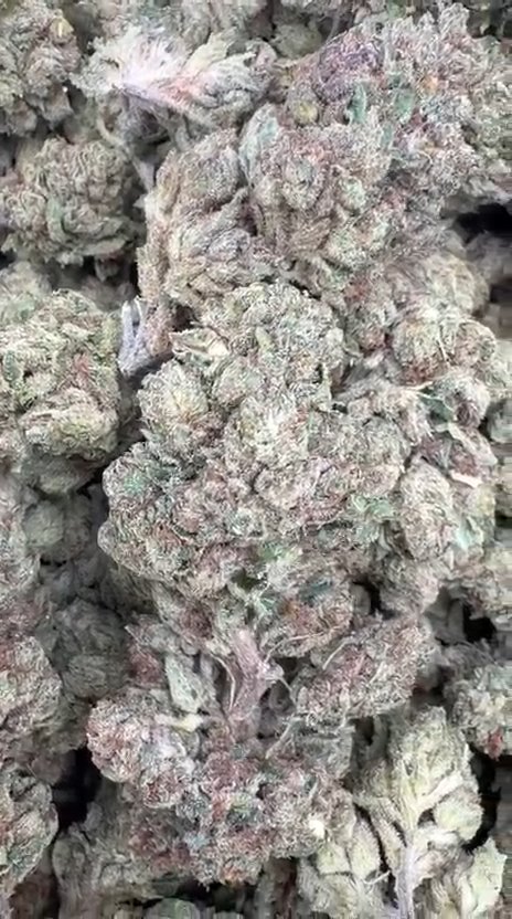 Chem Dawg Indoor - Bulk - Hybrid