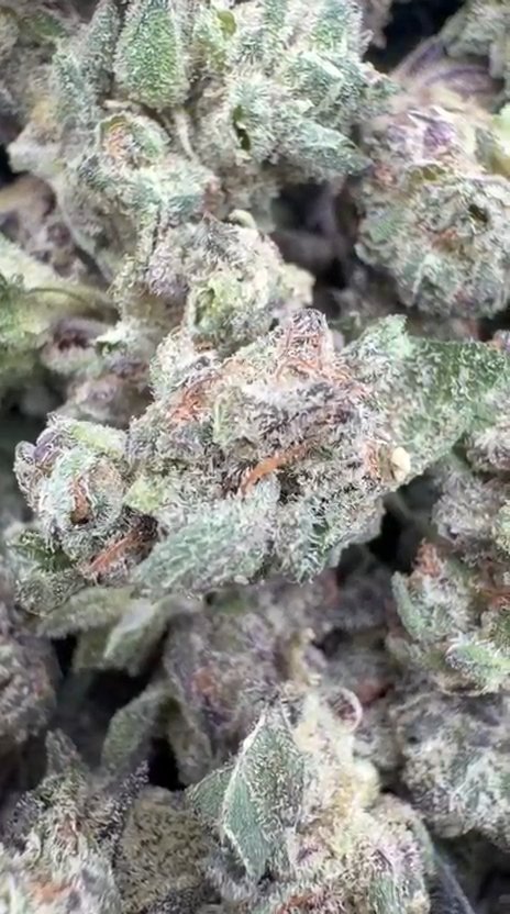 Cookies and Cream Littles - Bulk Littles - Hybrid