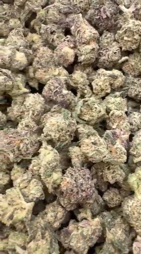 Boutique Exotics Crunch Berries Littles - Bulk Littles - Indica