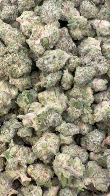 Lemon Bar Littles - Bulk Littles - Sativa