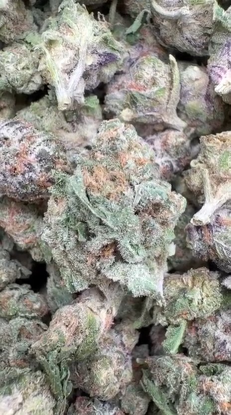 Do Si Dos x Lava Cake Littles - Bulk Littles - Indica