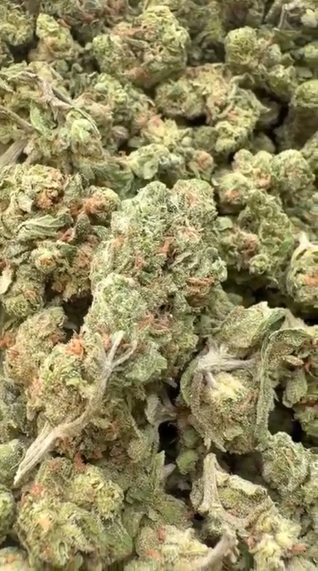 Double Dream Littles - Bulk Littles - Sativa
