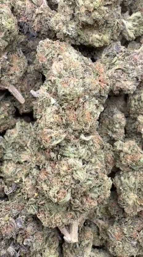 Double Runtz - Bulk - Hybrid