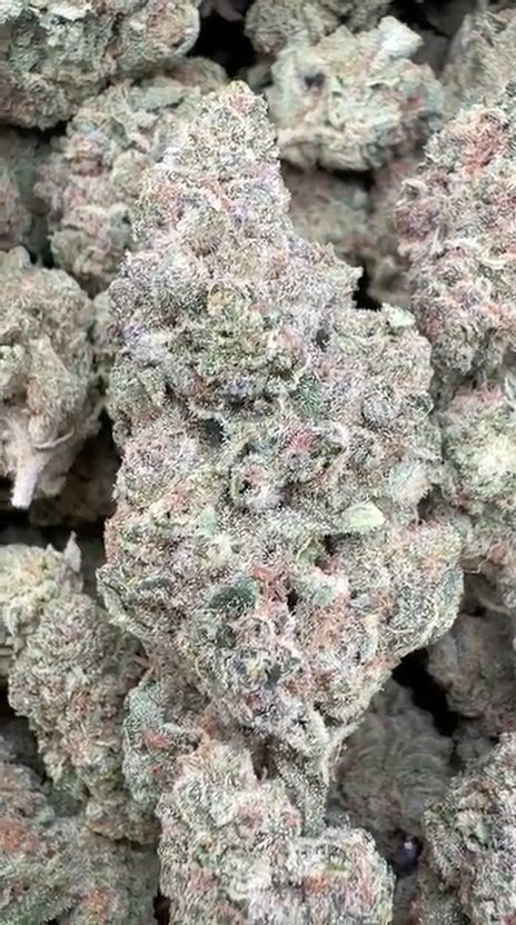 Durban Mintz - Bulk - Indica
