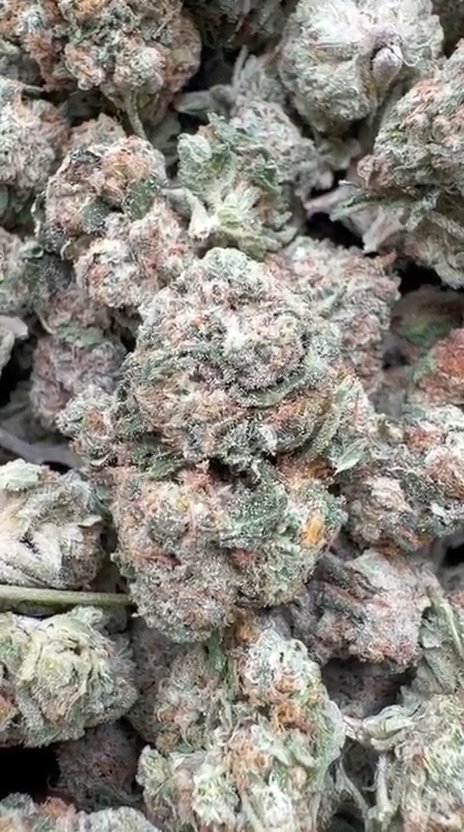 Fire OG Littles - Bulk Littles - Indica