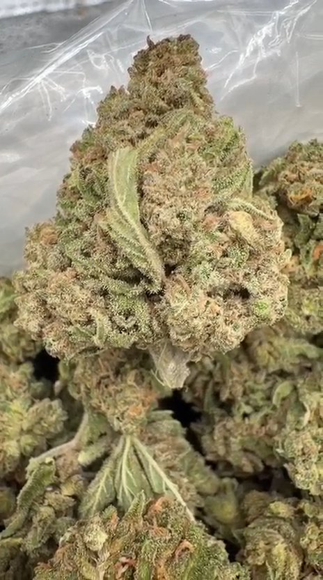 Frozen Peaches - Bulk - Hybrid