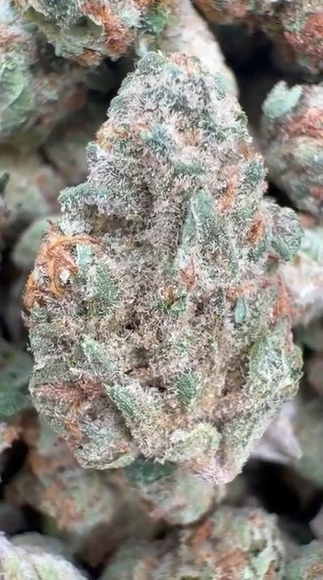 Fruity Pebbles OG Littles - Bulk Littles - Indica