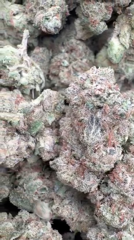 GMO - Bulk - Indica