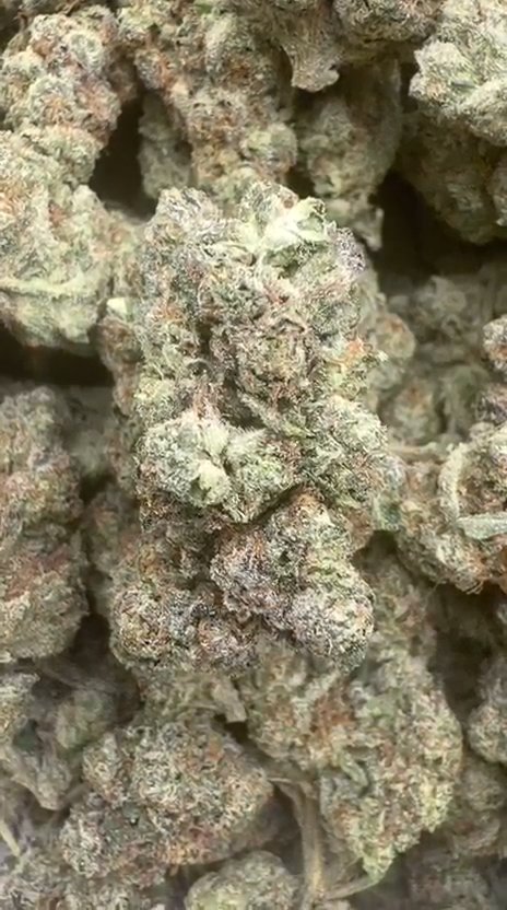 Gary Payton Indoor - Bulk - Hybrid