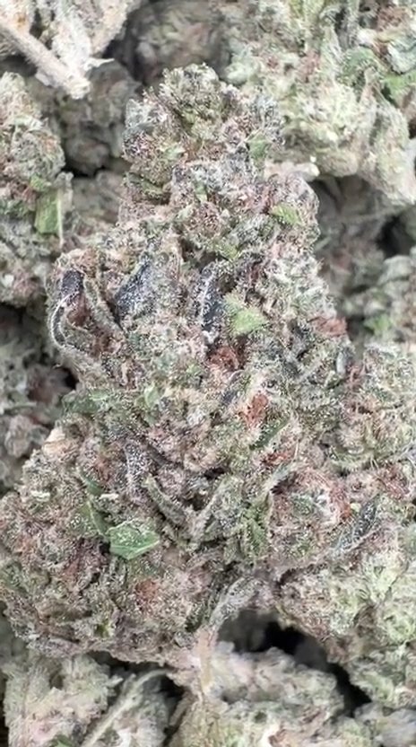 Han Solo Burger - Bulk - Indica