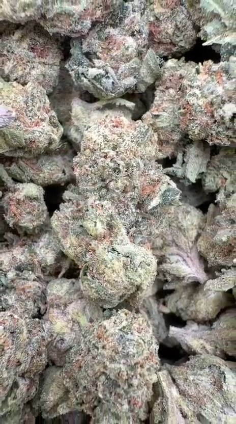 Gary Cherry Littles - Bulk Littles - Indica