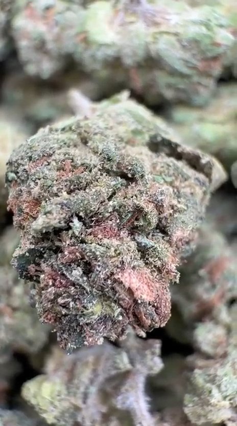 Gary Cherry Littles - Bulk Littles - Indica
