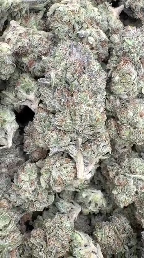 Gas Cake  - Bulk - Indica