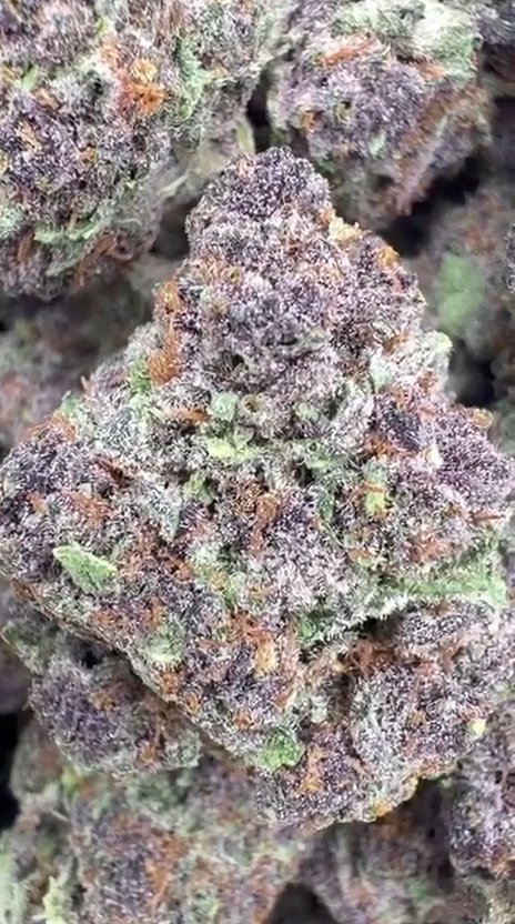 Granddaddy Purple - Bulk - Indica