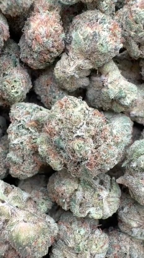 Grape Cream Cake Littles - Bulk Littles - Indica
