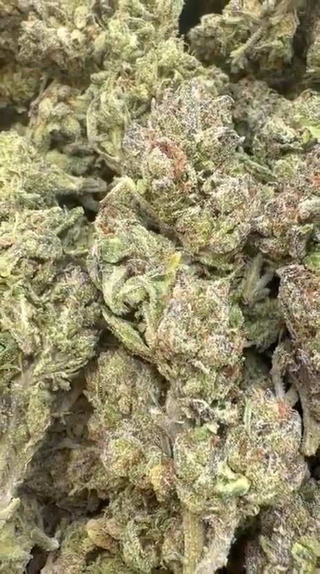 Gruntz Littles - Bulk Littles - Indica
