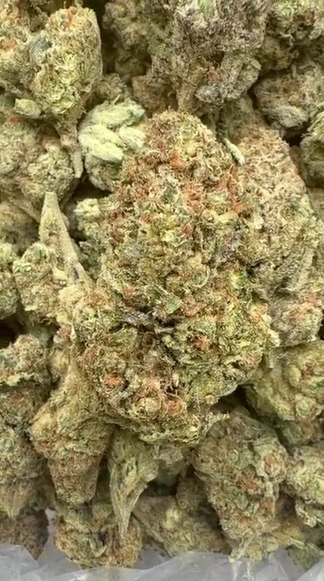 Hard Candy - Bulk - Indica