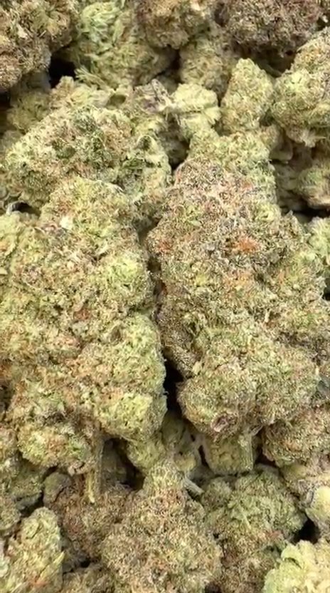 Hashburger - Bulk - Indica
