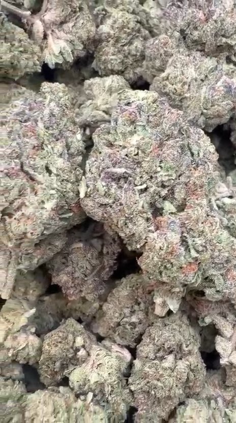 Heir Heads - Bulk - Indica