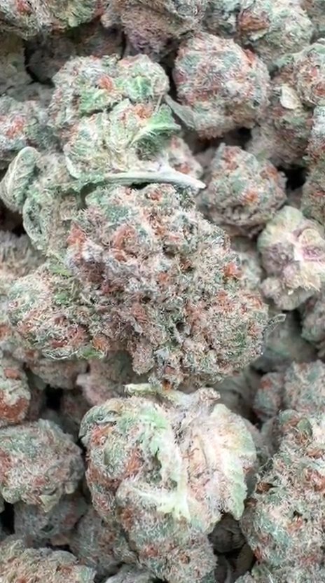 Illuminati Littles - Bulk Littles - Indica