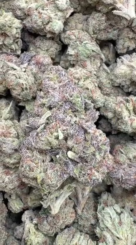 Italian Ice Cream Cookies - Bulk - Hybrid