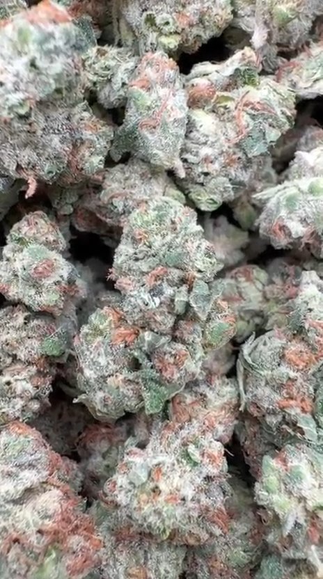 Jenny Kush Littles - Bulk Littles - Hybrid