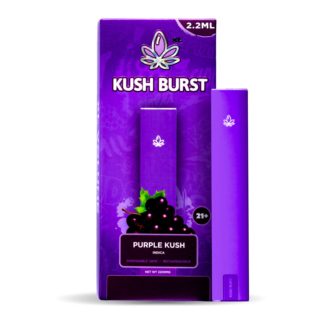 Kush Burst - 2G THCa Purple Kush - Indica