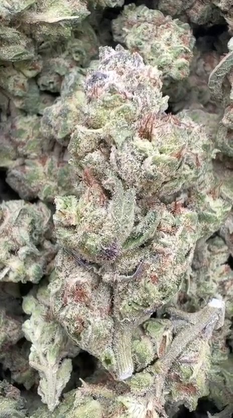 LA Kush Cake Littles - Bulk Littles - Indica
