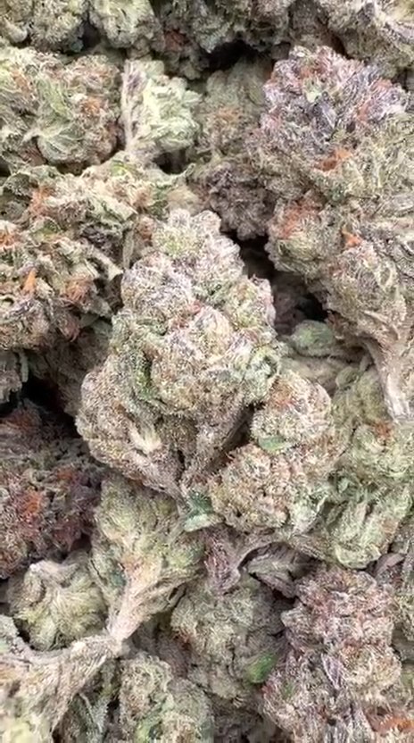 LA Runtz - Bulk - Hybrid