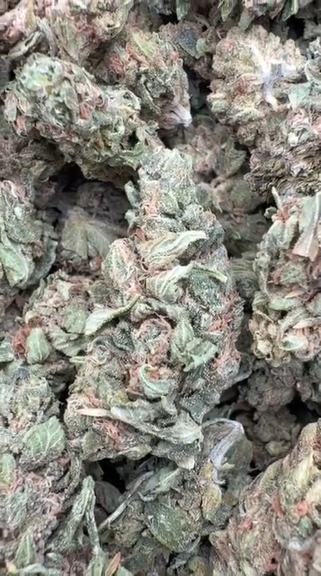 Northern Lights - Bulk - Indica