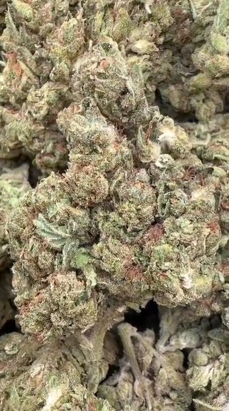 NYC Diesel - Bulk - Sativa