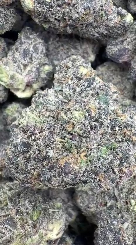 Oakland Runtz Indoor - Bulk - Hybrid