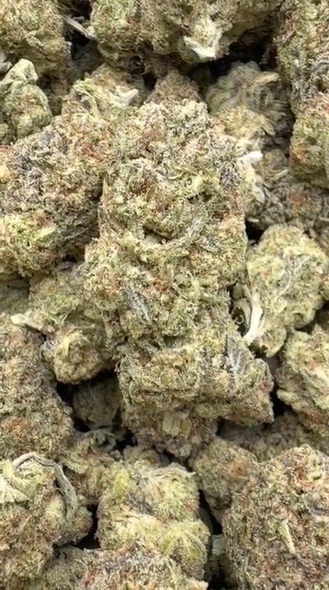 Oreoz - Bulk - Indica