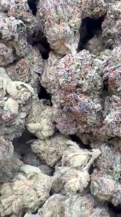 Peak 112 - Bulk - Indica