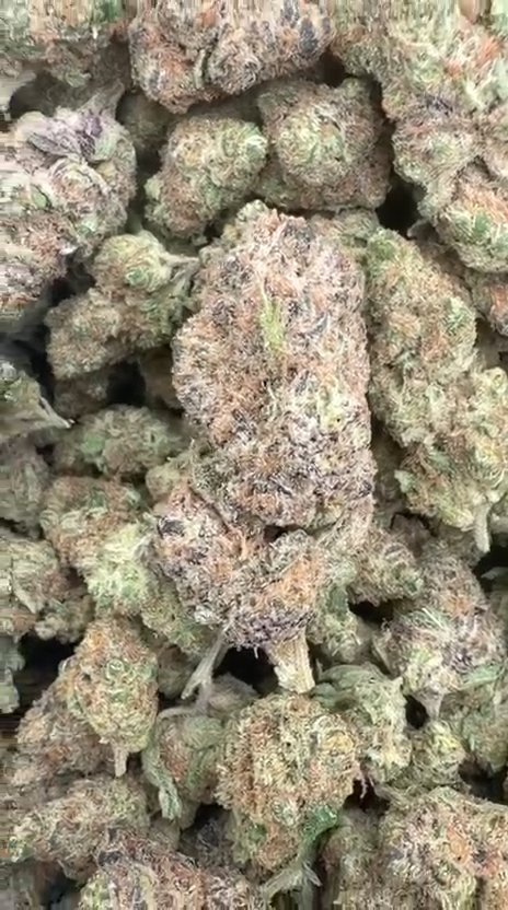 Peanut Butter Cup - Bulk - Indica