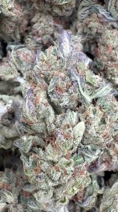 Peak 112 - Bulk - Indica
