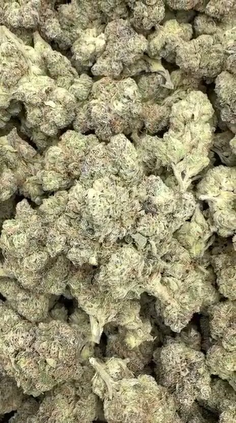 Permanent Marker Indoor - Bulk - Hybrid