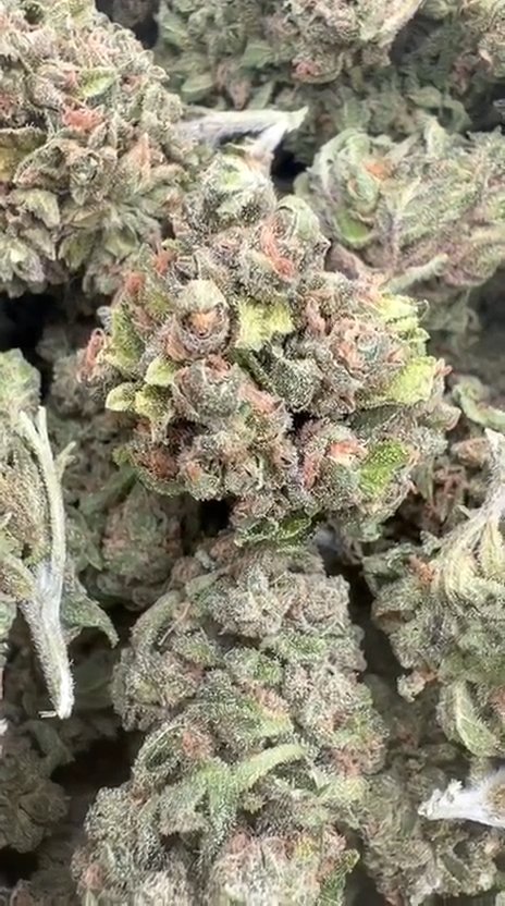 Pink Certz - Bulk - Indica